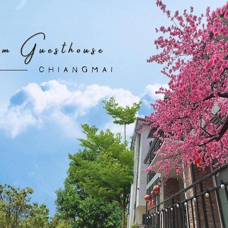 Bloom Guesthouse Chiang Mai Eksteriør billede